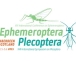 XIV International conference on Ephemeroptera and Plecoptera
